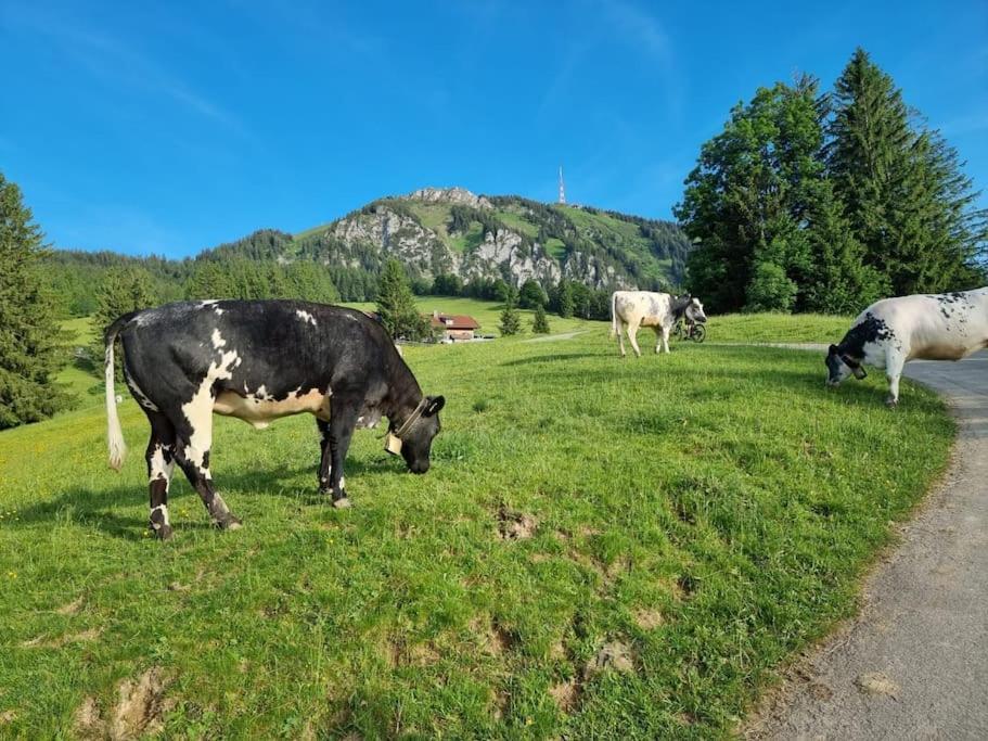 Ferienhaus Felder's - Boutique Haus Blaichach